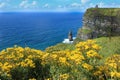 The Cliffs of Moher Ireland Tourist Backpacking Attraction