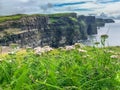 The Cliffs of Moher sea cliffs Ireland Royalty Free Stock Photo