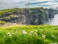 The Cliffs of Moher sea cliffs Ireland Royalty Free Stock Photo