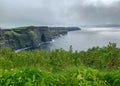 The Cliffs of Moher sea cliffs Ireland Royalty Free Stock Photo