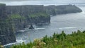 The Cliffs of Moher sea cliffs Ireland Royalty Free Stock Photo