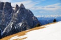 Cliffs of Schlern, Seiseralm, Val Gardena Royalty Free Stock Photo