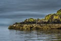 Cliffs In Shape Of A Head Of A Sleeping Dragon With Cormorants and A Seal At The Coast Of Scotland