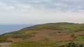 Cliffs with shrubs along the north sea coast of howth , ireland Royalty Free Stock Photo