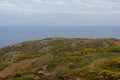 Cliffs with shrubs along the north sea coast of howth , ireland Royalty Free Stock Photo