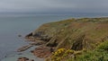 Cliffs with shrubs along the north sea coast of howth , ireland Royalty Free Stock Photo