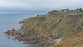 Cliffs with shrubs and trees over a beach along rock coast of howth , ireland