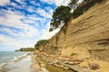 Coastal Sandstone Cliffs With Rock Bands and Overhanging Trees