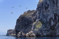 Cliffs of St. Grgur island with seagulls, Croatia Royalty Free Stock Photo
