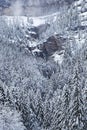 Cliffs and trees under the snow Royalty Free Stock Photo