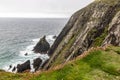 Cliffs, vegetation and waves in Dingle