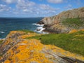 Cliffs with yellow lichen Royalty Free Stock Photo