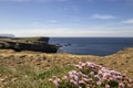 The cliffs at Yesnaby on Orkney in Scotland
