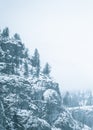 Cliffside and evergreen trees covered in snow and surrounded by thick fog in monochrome