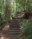 Cliffside Lake Hiking Trail