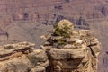 A cliffside view of the Grand Canyon