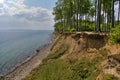 Clifftop with forest above the beach