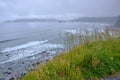 Clifftop grasses add depth to foggy, Oregon coast view