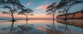 Clifftop trees reflecting in a tranquil water pool on a sandy beach at dusk under a dramatic sky Royalty Free Stock Photo