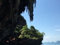 Clift view with part sea cover with green plants