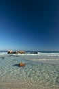 Clifton Beach Cape Town Royalty Free Stock Photo