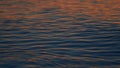 Climate Change. Blue Water Waves Surface. Sunset Water Ripple Reflection Background. Real time. Royalty Free Stock Photo