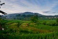 An aerial view of Bandung west Java indonesia