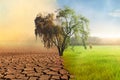 Climate change drought and green aboundance fields compare Royalty Free Stock Photo