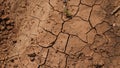 Global warming issue, cracked mud in the bottom of a river Royalty Free Stock Photo