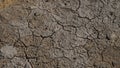 Climate change drought land. Global warming issue, cracked mud in the bottom of a river Royalty Free Stock Photo