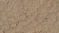 Climate change drought land. Global warming issue, cracked mud in the bottom of a river Royalty Free Stock Photo