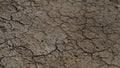 Climate change drought land. Global warming issue, cracked mud in the bottom of a river Royalty Free Stock Photo