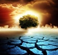 Climate change drought land Royalty Free Stock Photo