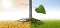 Climate change to a green environment Royalty Free Stock Photo