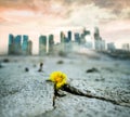 climate change or global warming banner - yellow flower growing in cracked dried land, grey polluted city in the background