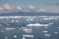 Climate change and global warming. Icebergs from a melting glacier in Greenland. UNESCO