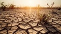 Climate change heat dryness withered earth