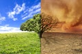 Climate change landscape with tree Royalty Free Stock Photo