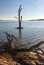 Climate change makes water move towards land - Assateague, MD, USA Royalty Free Stock Photo