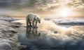 Climate change is melting the ice in the Arctic ecosystem and destroying the Polar Bear's habitat.