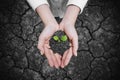 Climate change, new life, hope and seedling concept Royalty Free Stock Photo