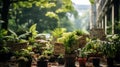 Climate Change Protest Signs Amidst Lush Greenery at Government Building