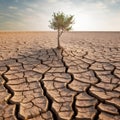 Climate Change: Tree on Drought-Ridden Land. Generative AI