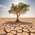 Climate Change: Tree on Drought-Ridden Land. Generative AI