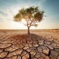 Climate Change: Tree on Drought-Ridden Land. Generative AI