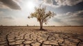 Climate change withered tree and dry earth.