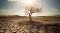 Climate change withered tree and dry earth.