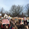 Climate strike the hague Royalty Free Stock Photo