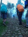 climb the mountain over the rocky path forest fog Royalty Free Stock Photo