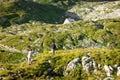 Climb to the refuge koca Royalty Free Stock Photo